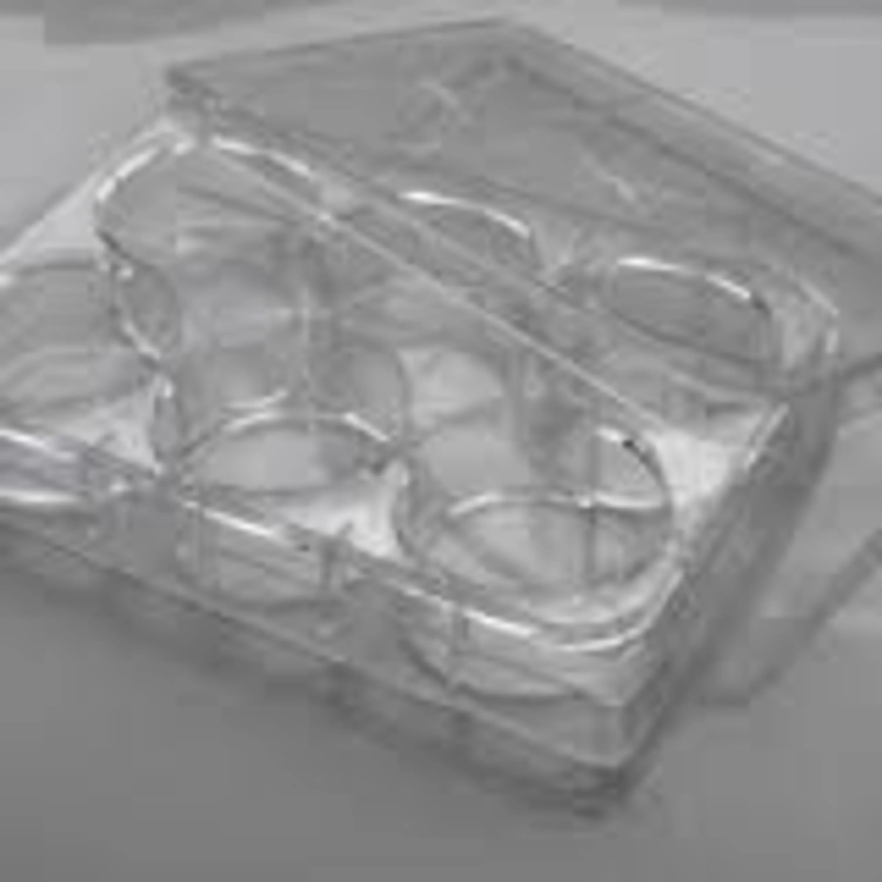 پلیت کشت سلول 6  خانه SPL کالا زیست kalazist